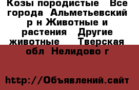 Козы породистые - Все города, Альметьевский р-н Животные и растения » Другие животные   . Тверская обл.,Нелидово г.